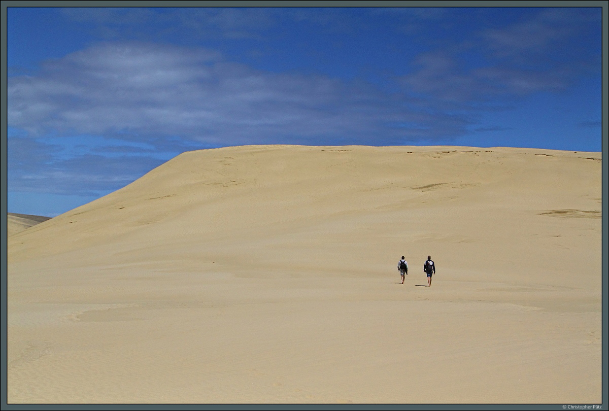 Bis zu 50 Meter hoch sind die Te Paki-Sanddünen, die größten Dünen Neuseelands, welche unweit von Cape Reinga liegen. (13.10.2016)