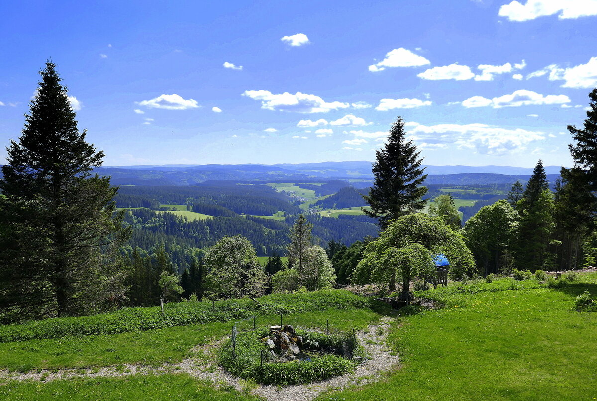 Blick vom 1149m hohen Brend im Mittleren Schwarzwald Richtung Süden, am Horizont das Feldbergmassiv, Juni 2022