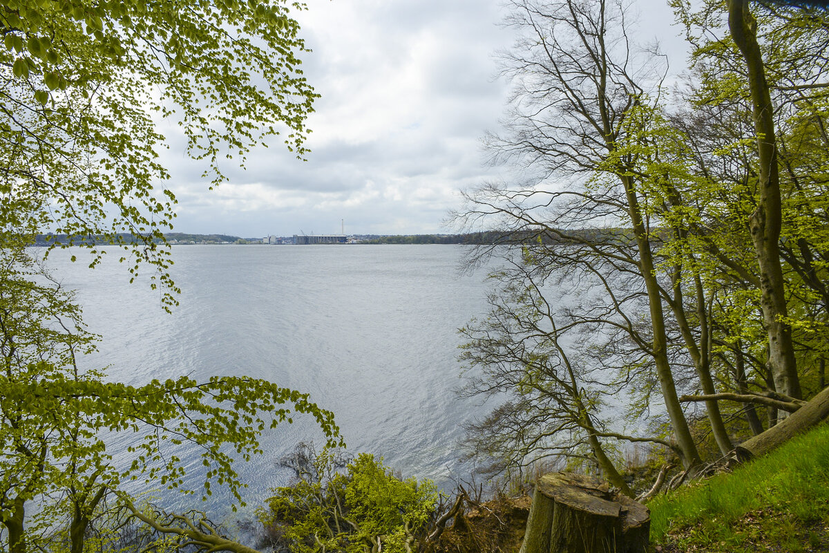 Blick auf die Flensburger Förde vom Kollund Skov (Nordschleswig/Sønderjylland) aus. Aufnahme: 22. April 2024.