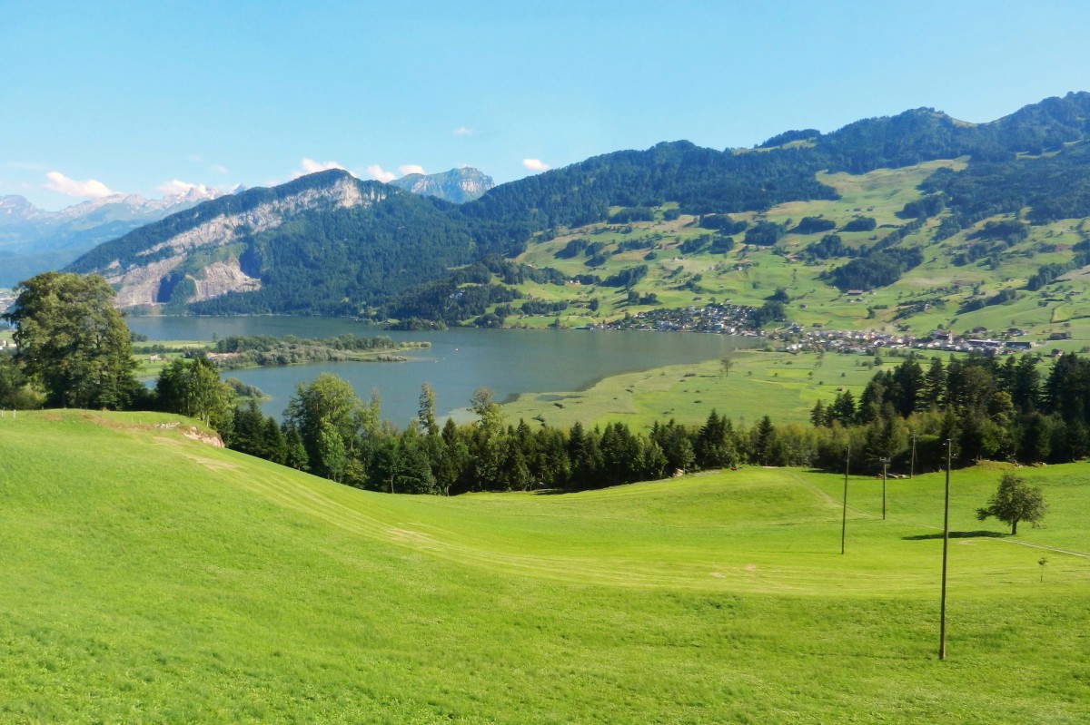 Blick auf Lauerz. Der Lauerzersee befindet sich im Kanton Schwyz zwischen Vierwaldstättersee und Zugersee - 03.07.2014
