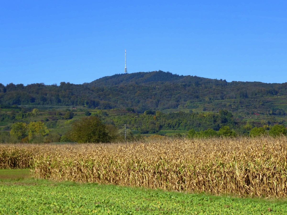 Blick aus der Rheinebene bei Btzingen zum Kaiserstuhl mit dem 557m hohen Totenkopf, Okt.2014