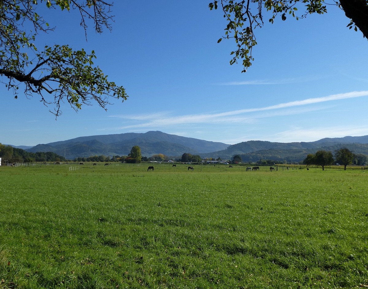 Blick aus der Rheinebene bei Vrstetten zum 1241m hohen Kandel im Schwarzwald, Okt.2013