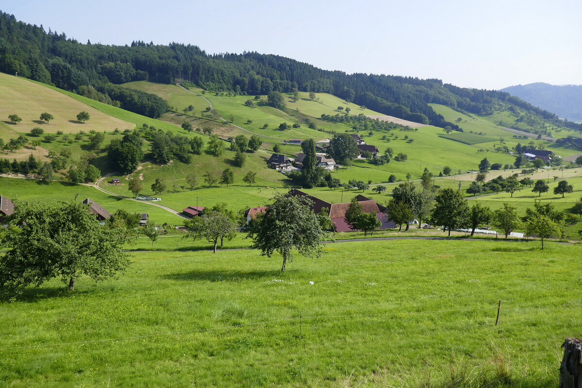 Blick ins Emmersbachtal im mittleren Schwarzwald, Juli 2021