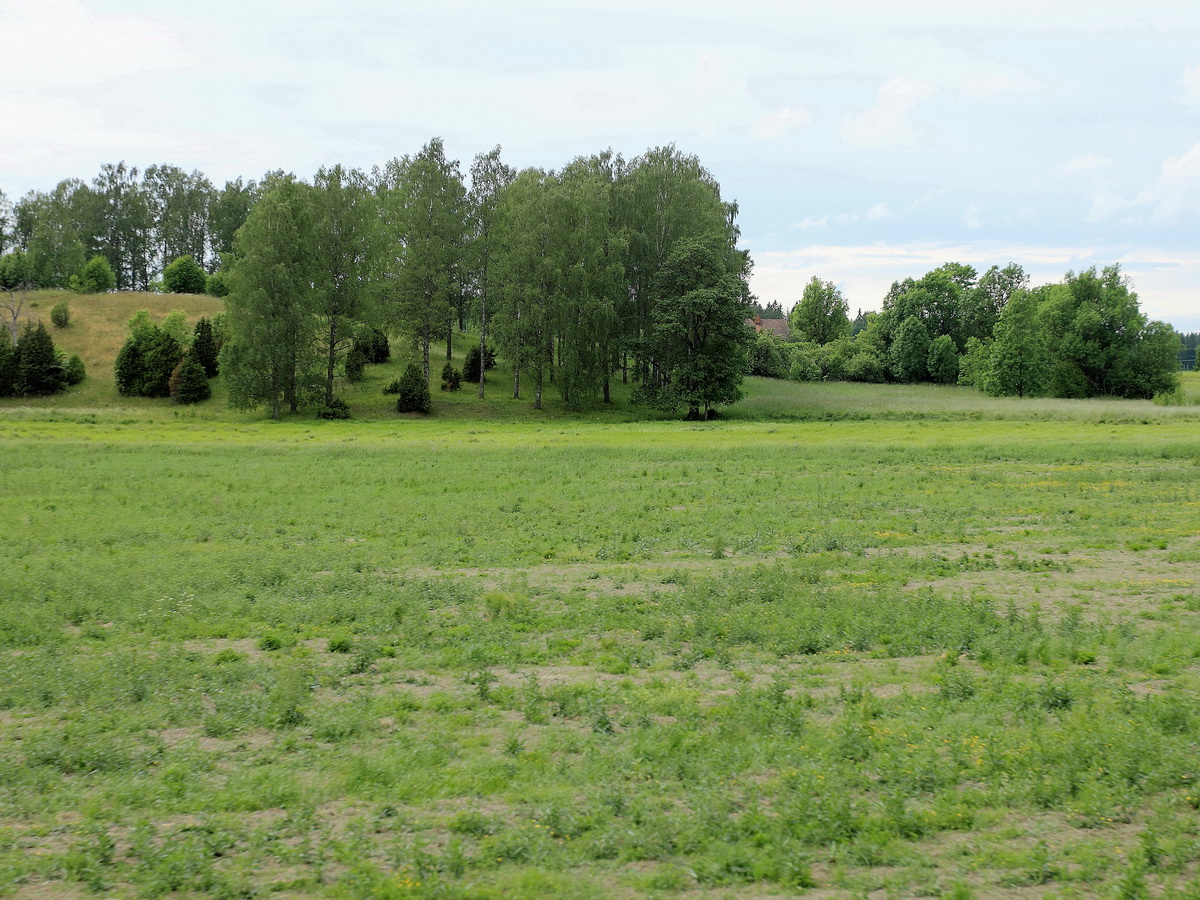 Blick in die Landschaft zwischen Stockholm und Gävle C am 21. Jui 2016. 