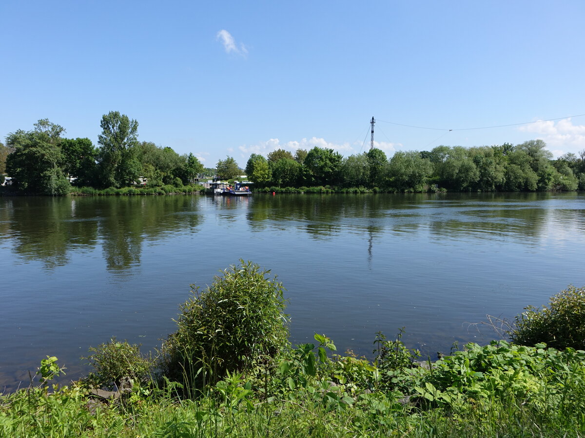 Blick vom linken Mainufer auf die Mainfähre bei Rumpenheim (30.05.2021)