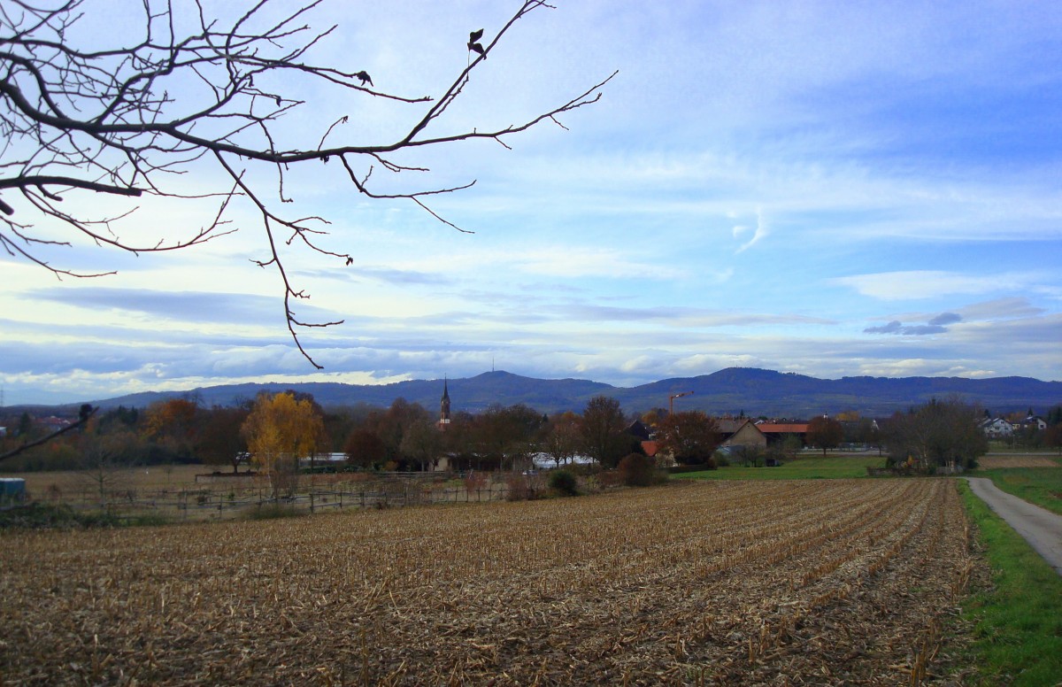 Blick vom Marchhgel ber den Ort Buchheim zum Kaiserstuhl, Nov.2009