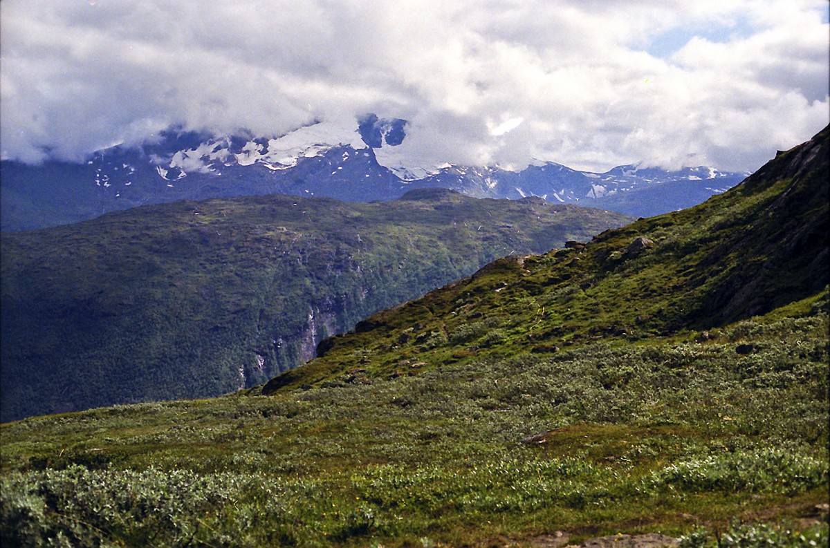 Blick von Narvikfjellet in Nördlicher Richtung. Aufnahme: Juli 1985 (digitalisiertes Negativfoto).