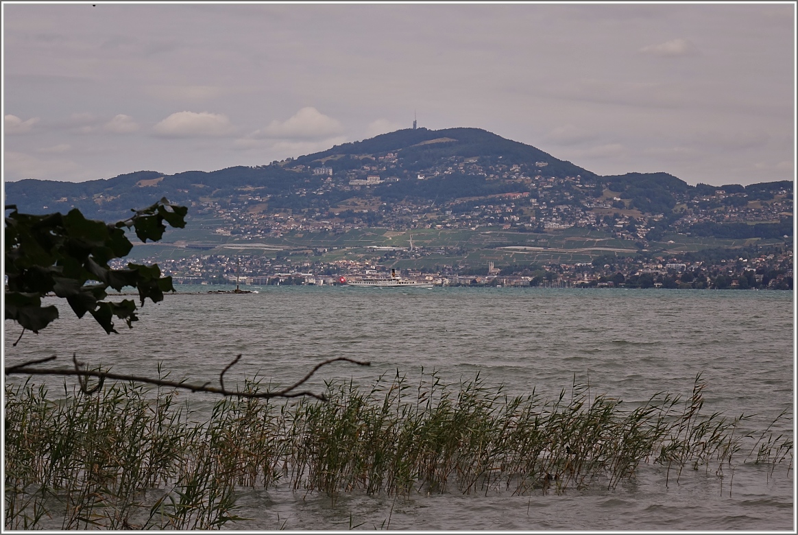 Blick vom Naturschutzgebiet  Les Grangettes  über den Genfersee auf Vevey und den Mont-Pelerin.
(28.07.2015)