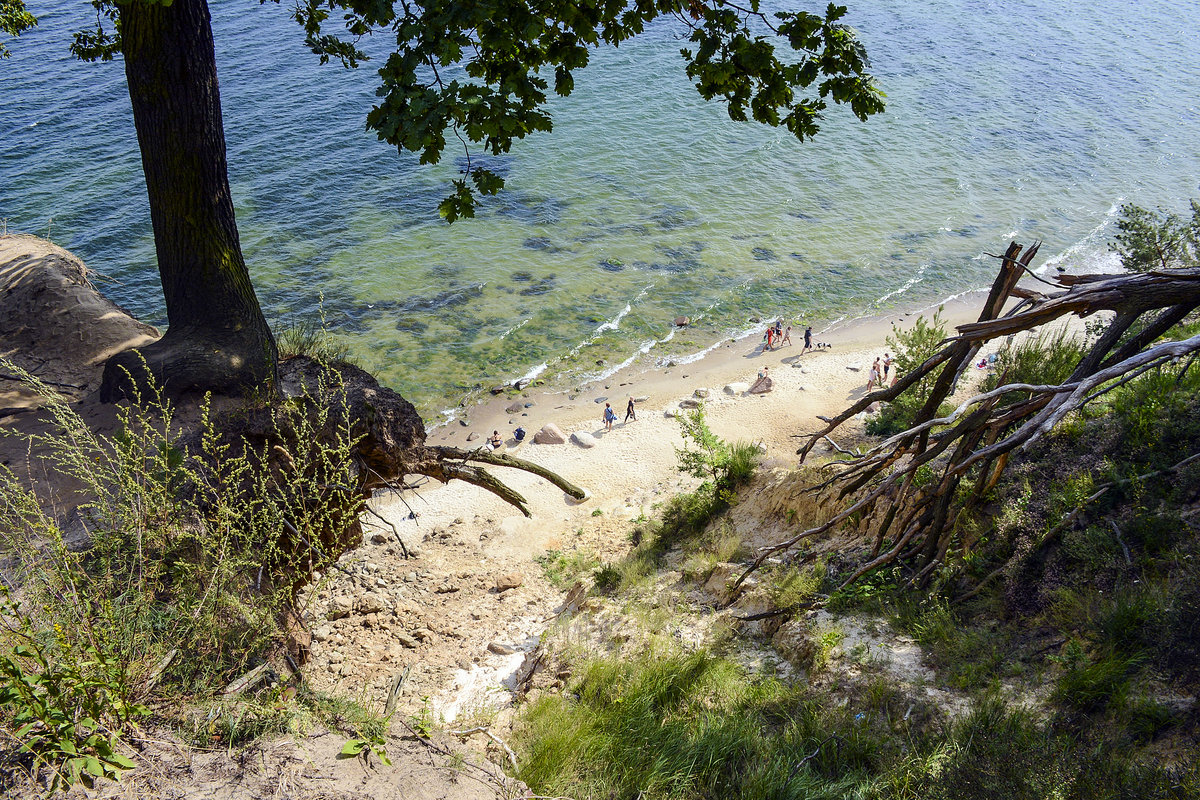 Blick vom Orlowski Kliff (Adlerhorst) im Rezerwat Kępa Redłowska südlich von Gdynia (deutsch: Gdingen). Aufnahme: 15. August 2019.