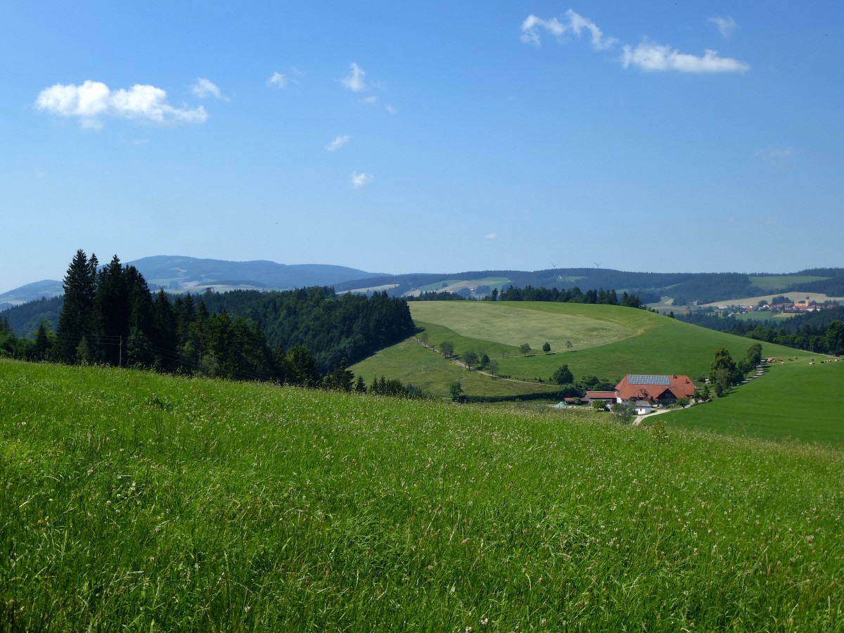 Blick vom Ortsteil Thurner ber die Schwarzwaldhhen, links der 1241m hohe Kandel, rechts im Hintergrund der Ort St.Mrgen, Juni 2015