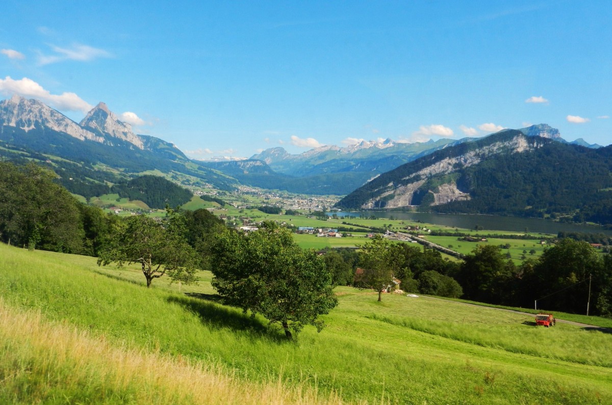 Blick in Richtung Schwyz, Kanton Schwyz, mit dem Lauerzersee - 03.07.2014
