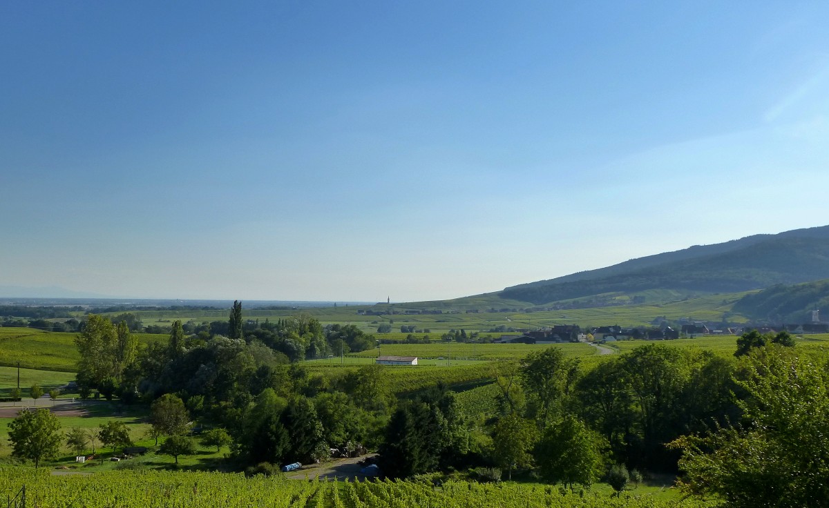 Blick vom Winzerdorf Ittersweiler an der Elser Weinstrae ber die Weinfelder in die Rheinebene, rechts die Berge der Vogesen, Sept.2015