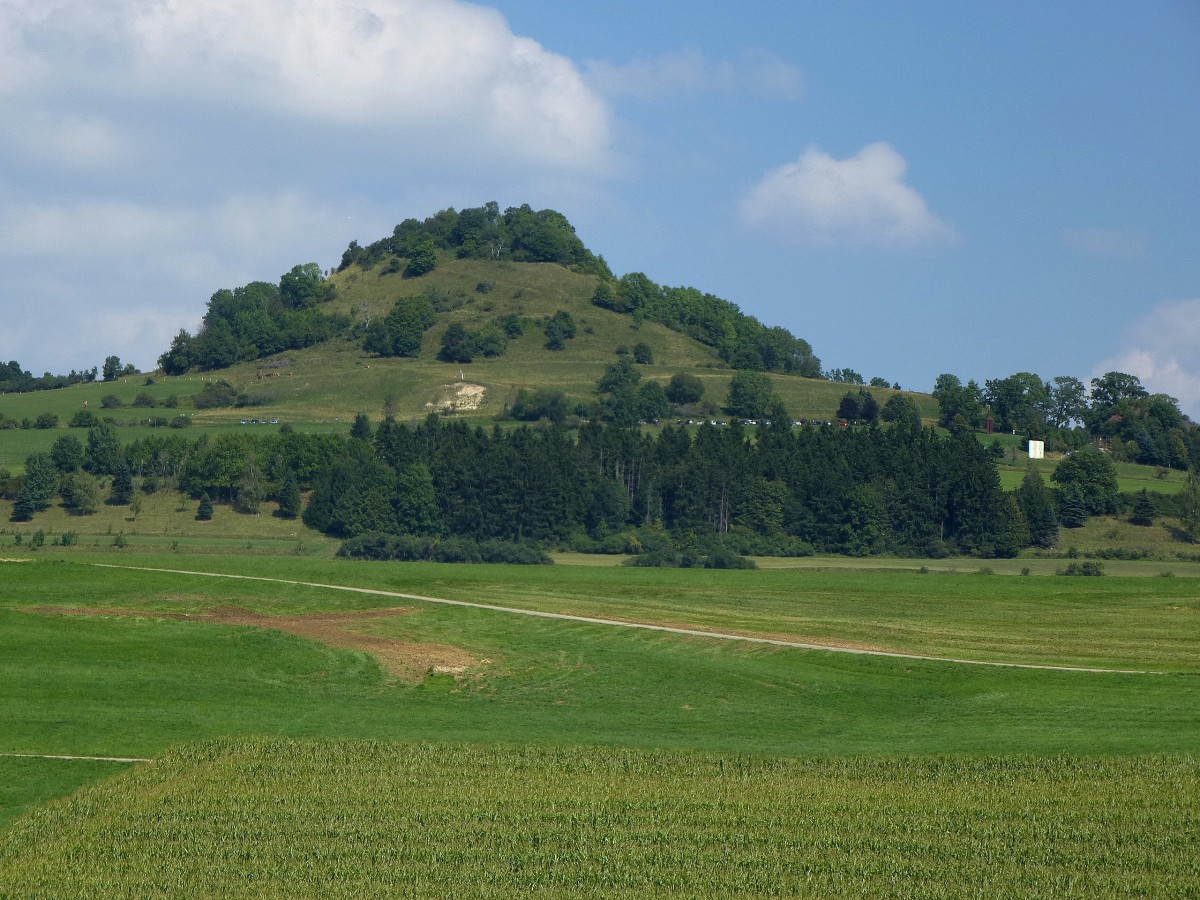 Blick zum 912m hohen Hohenkarpfen/Schwbische Alb, ein sogenannter Zeugen-oder Inselberg, bekanntes Ausflugsziel mit herrlicher Sicht ber die Baar, steht unter Naturschutz, Aug.2013
