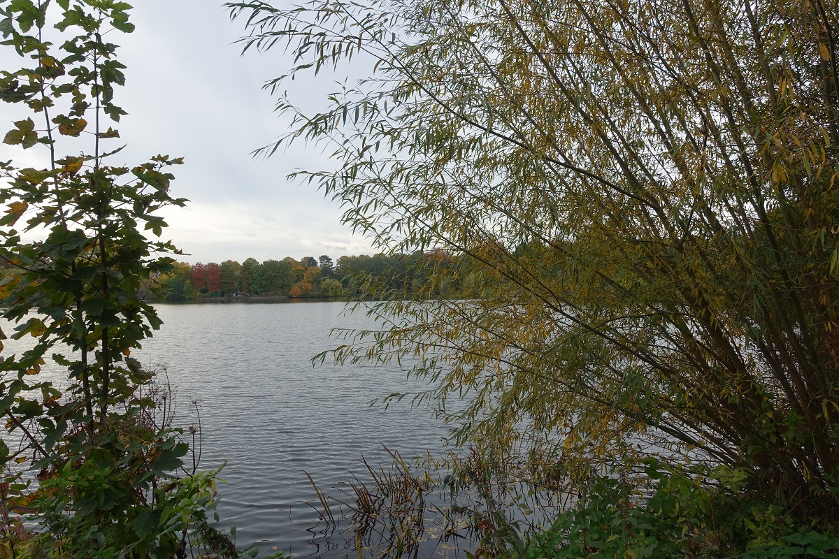 Bunter Herbst in Hamburg, Impressionen am Stadtparksee am 23.10.2020/