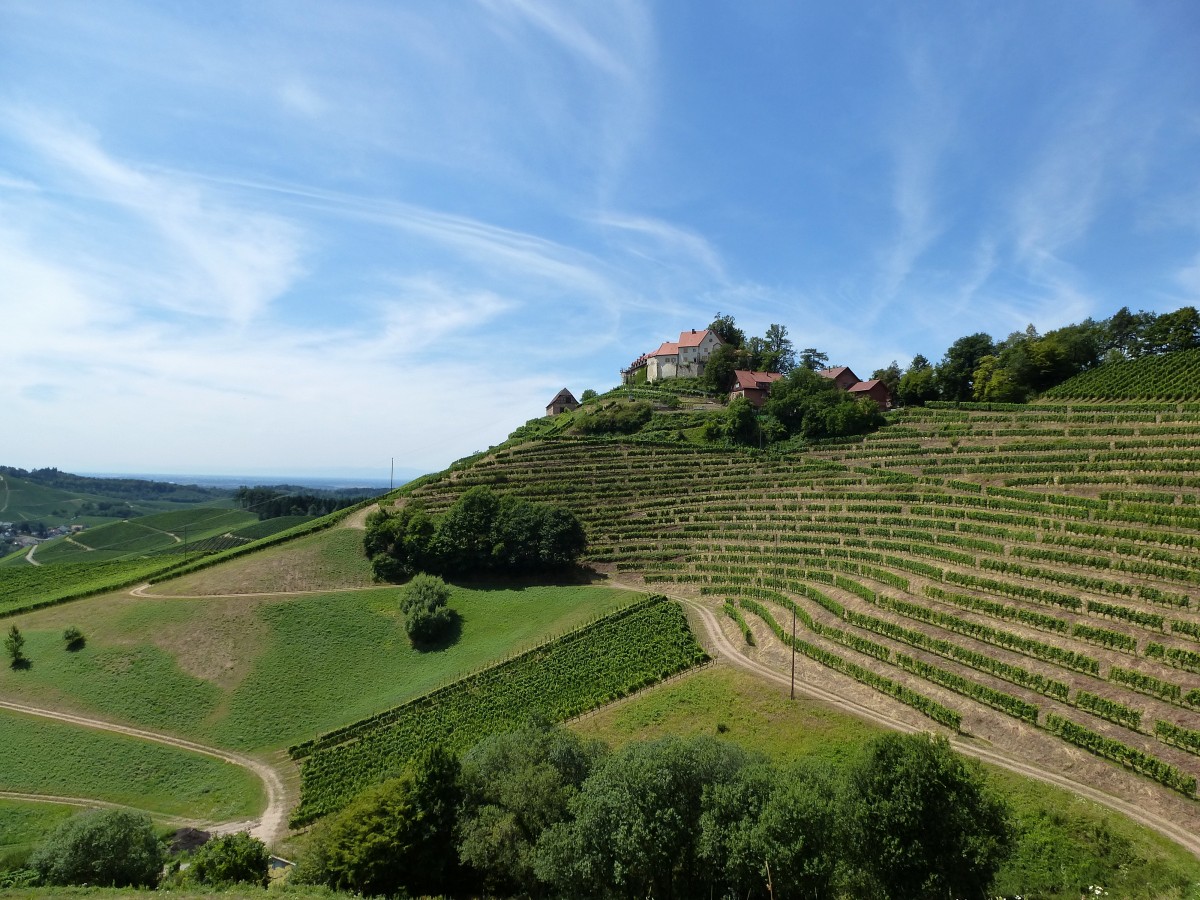Burg Staufenberg, hoch ber dem Weinort Durbach in der Ortenau, Juli 2015