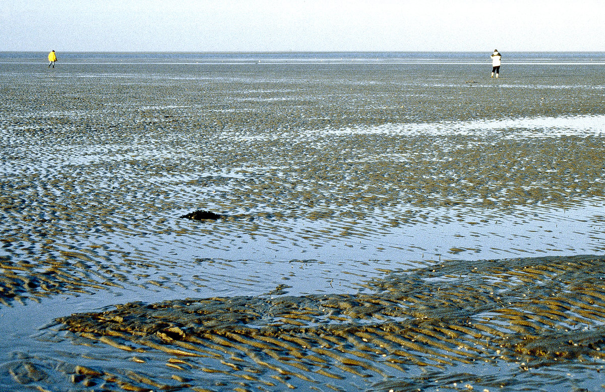Das Wattenmeer westlich von der Insel Pellworm. Bild vom Dia. Aufnahme: Januar 2000.