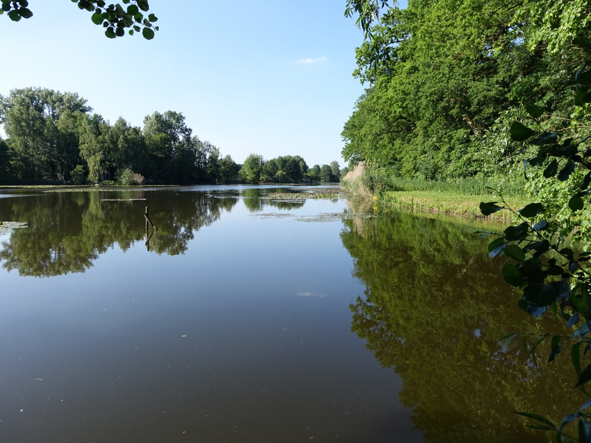 Dennenloher See im Fränkischen Seenland (04.06.2015)