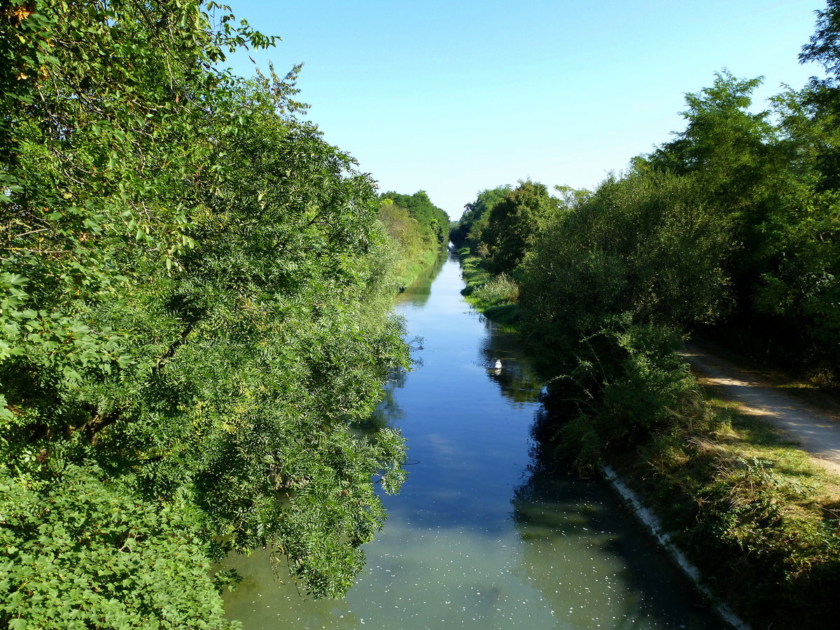 der nicht mehr schiffbare Rhein-Rhone-Kanal bei Weckolsheim/Elsa, Aug.2016