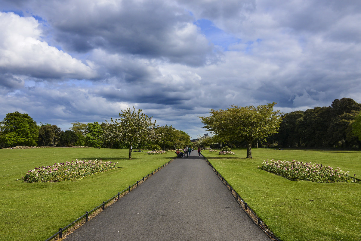 Der Phoenix Park (irisch: Páirc an Fhionnuisce) ist eine große Parkanlage 3 km nordwestlich des Stadtzentrums von Dublin (Irland) und die grüne Lunge der Stadt. Mit einer Fläche von 808 ha (8,08 km²) und einer umschließenden Mauer von 11 km Länge ist der Park eine der größten innerstädtischen Parkanlagen der Welt. 
Aufnahme: 11. Mai 2018.