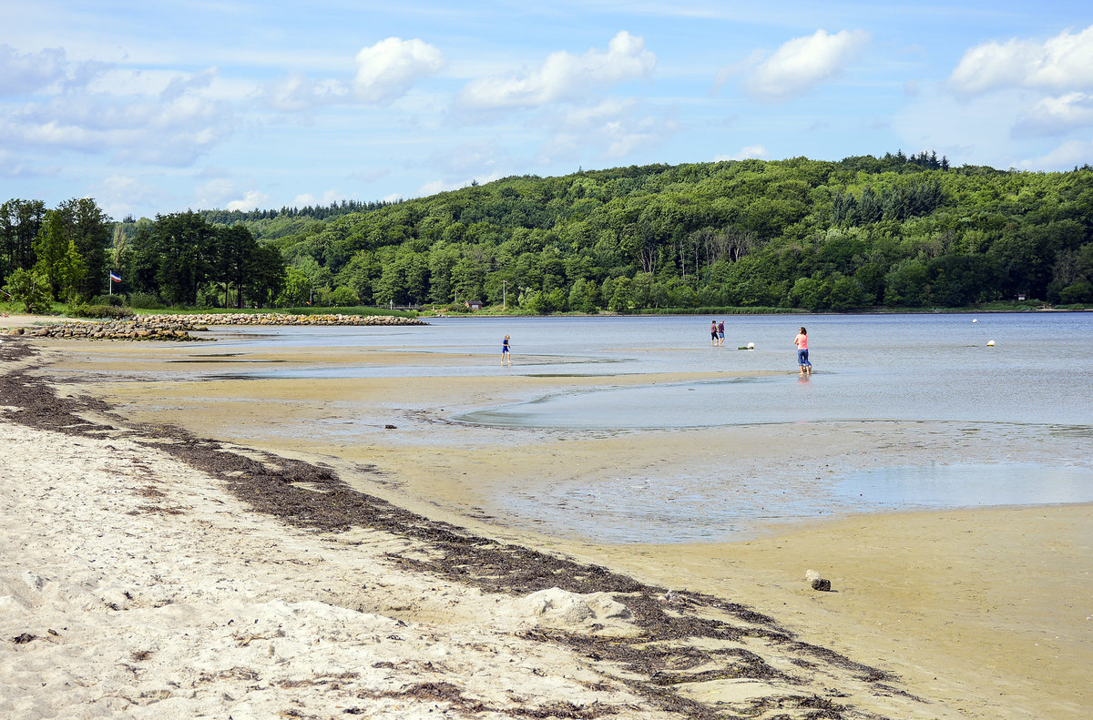Der Strand in Wassersleben (Gemeinde Harrislee) an der Flensburger Förde. Aufnahme: 17. Juni 2018.