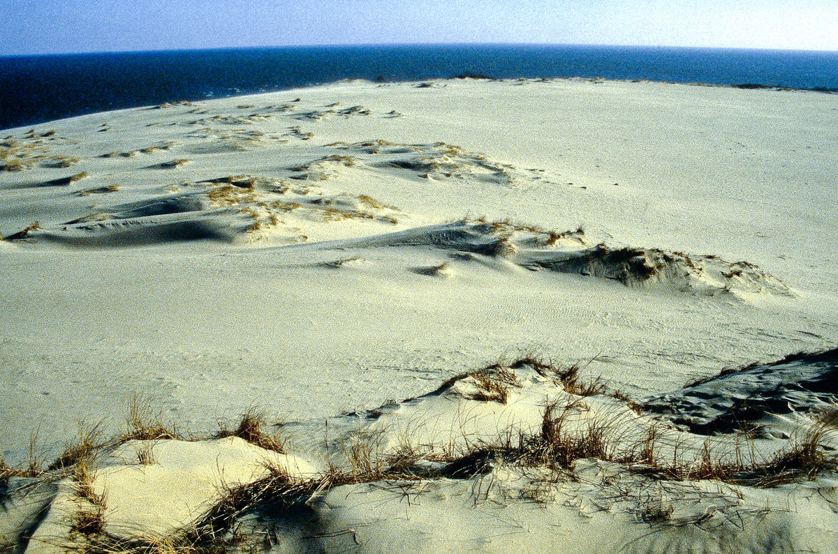 Die Große Düne bei Nidden (litauisch Nida), eine der größten Dünen Europas. Bild vom Dia. Aufnahme: März 1992.