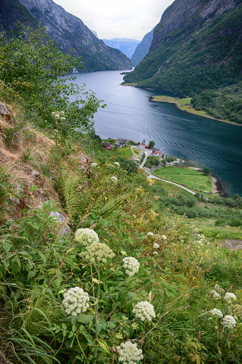 Die Nærøyfjord von Seltuft aus gesehen (Norwegen). Aufnahme: 16. Juli 2018.