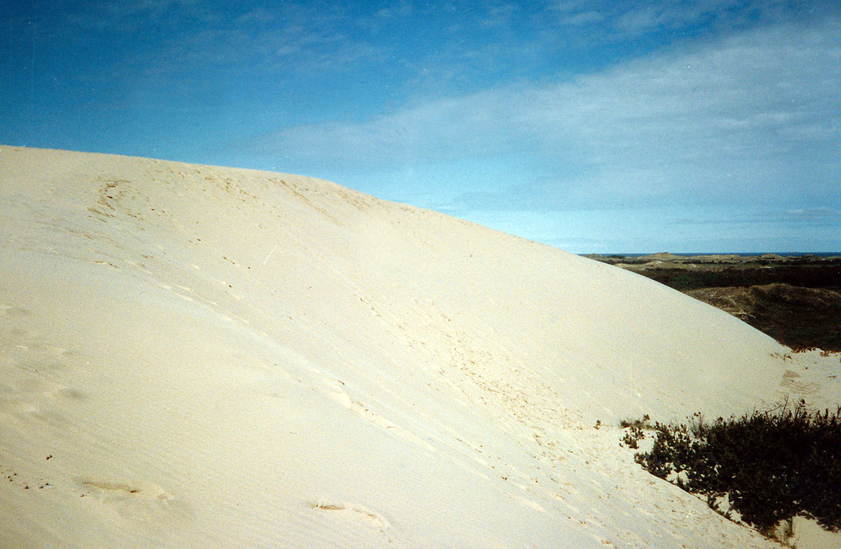 Die Wanderdüne Råbjerg Mile in Nordjütland. Bild vom Negativ. Aufnahme: Mai 1990.