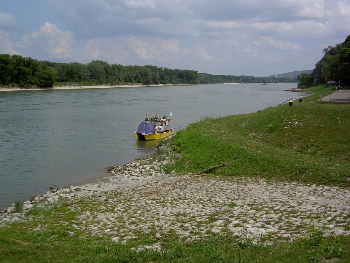 Donau bei Hainburg, Niederösterreich (27.07.2014)