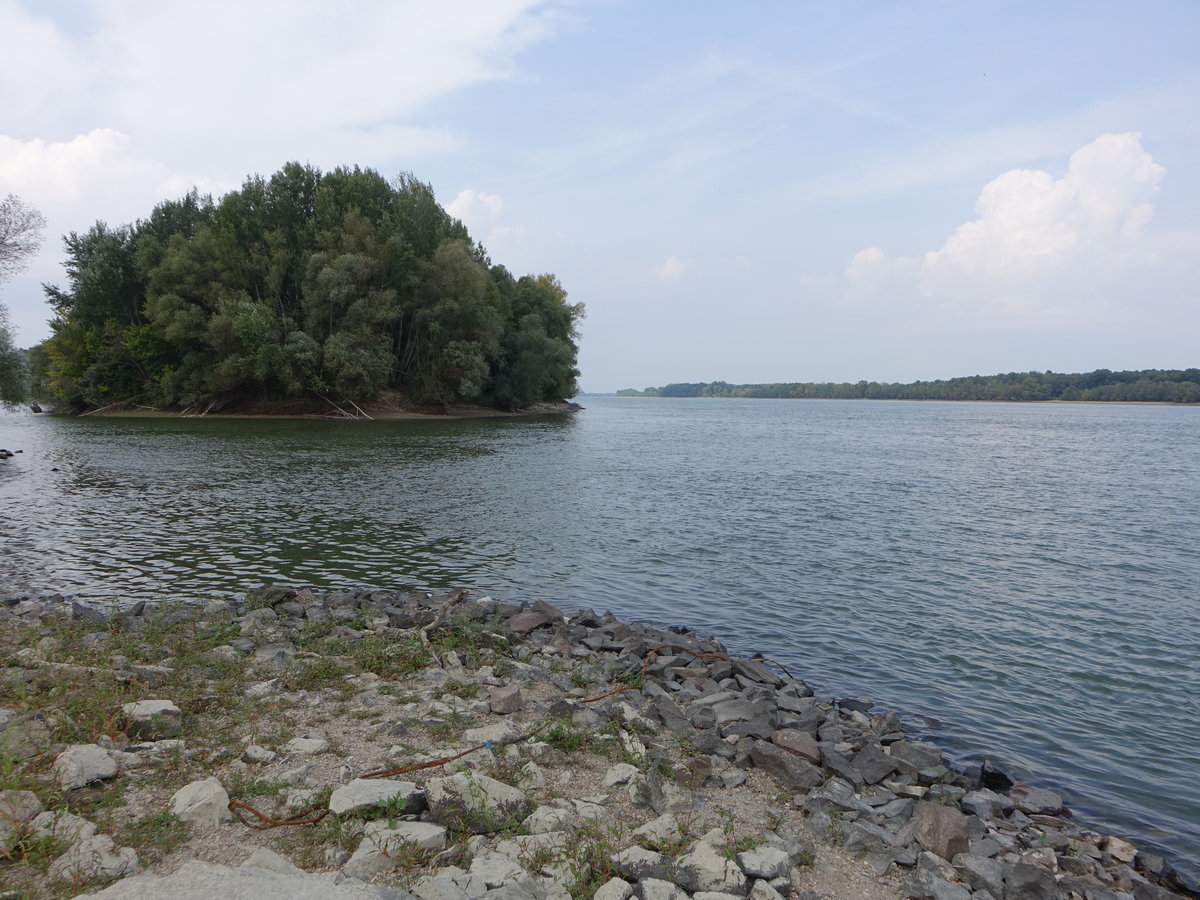 Donauinsel bei Adony, Mittelungarn (01.09.2018)
