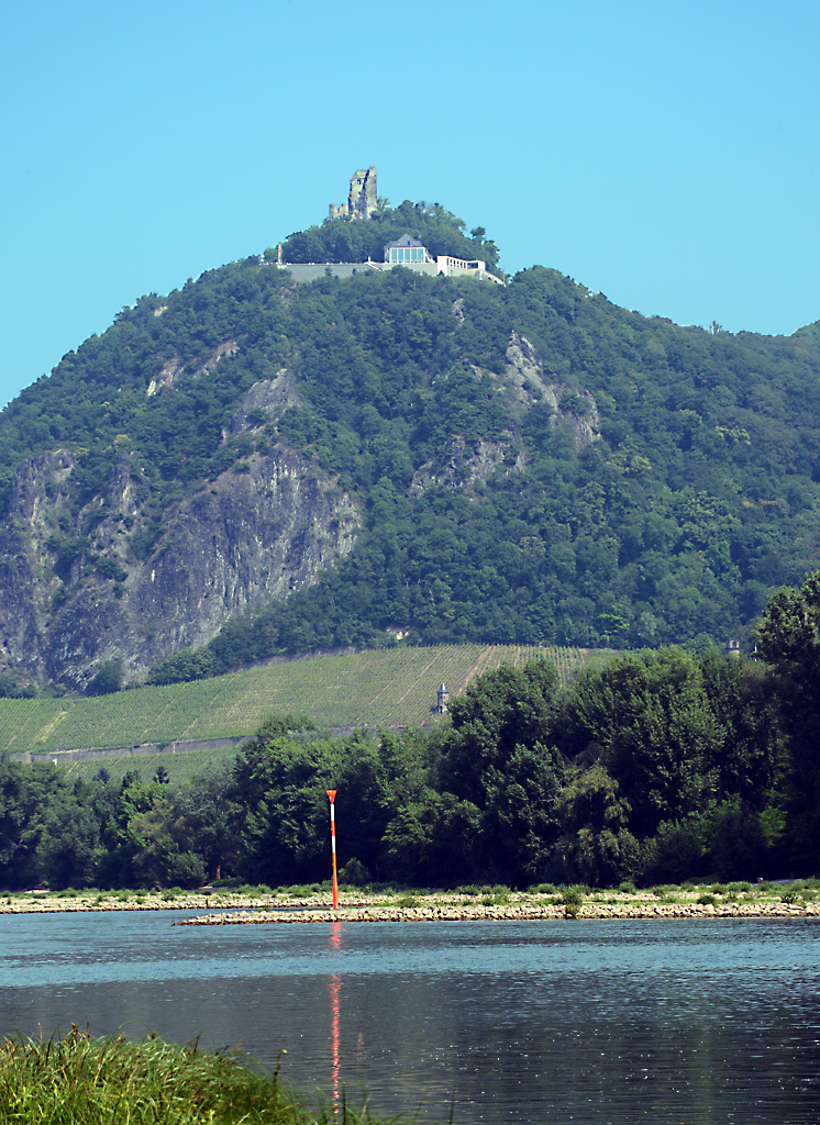 Drachenfels und Rhein von Süd-Westen - 03.06.2014
