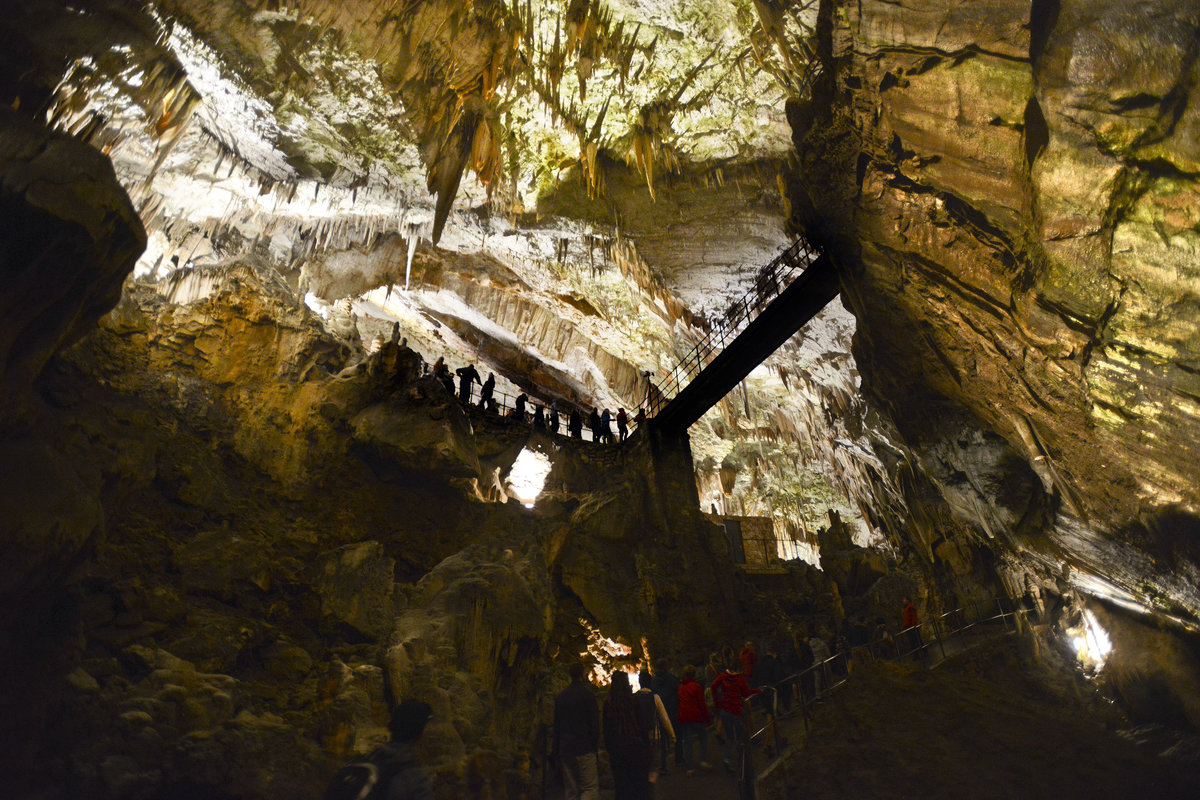 Ein Komplex von Gängen, Galerien und Hallen, eineVielfalt an Karsterscheinungen und ein einfacher Zugang sind die Hauptgründe für die außergewöhnliche Beliebtheit und Besucheranzahl der Höhle von Postojna, die in 200 Jahren schon 36 Millionen Besuche zu verzeichnen hatte. Aufnahme: 27. Juli 2016.