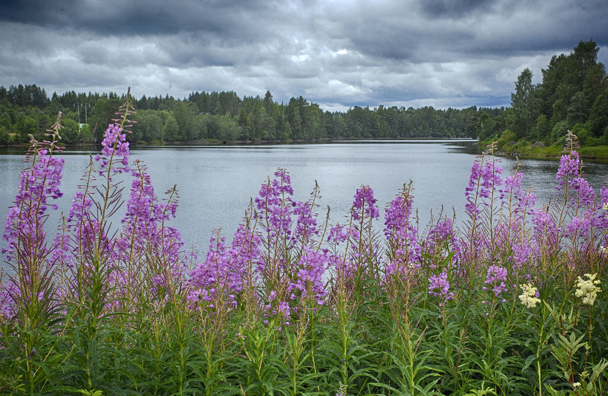 Fänforsen bei Björbo in Dalarna. Der Ort ist Ausgangspunkt für Wild Water Rating auf Vesterdalälven. Aufnahme: 30. Juli 1017.
