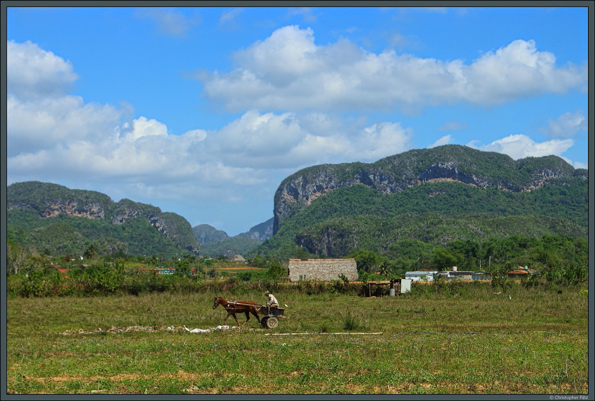 Feld bei Viñales: Die Einwohner des Viñales-Tals im Westen Kubas leben trotz des zunehmenden Tourismus vor allem von der Landwirtschaft. (20.03.2017)