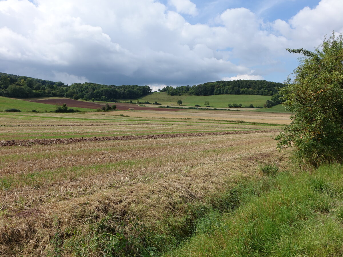 Felder bei Barlissen im Tal der Damme, Südniedersachsen (31.08.2021)