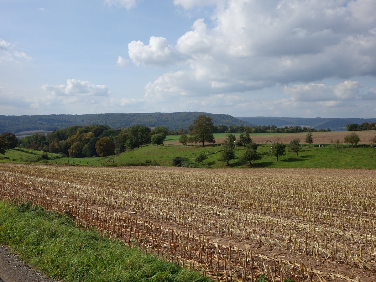 Felder bei Derental, Lkr. Holzminden (30.09.2023)