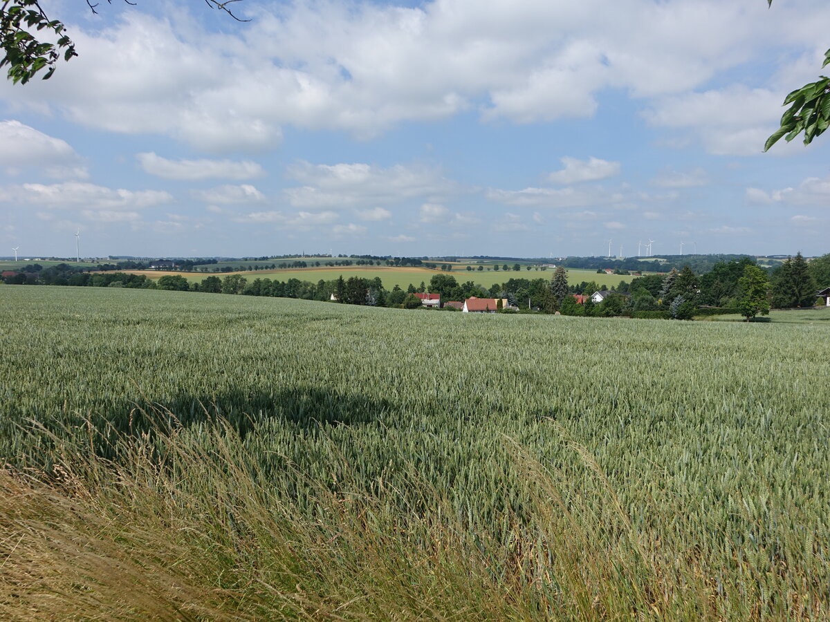 Felder bei Gödern im Altenburger Land (24.06.2023)