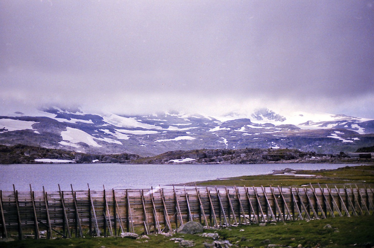 Finsevatnet mit dem Hardangerjøkulen im Hintergrund. Aufnahme: Juli 1985 (digitalisiertes Negativfoto).