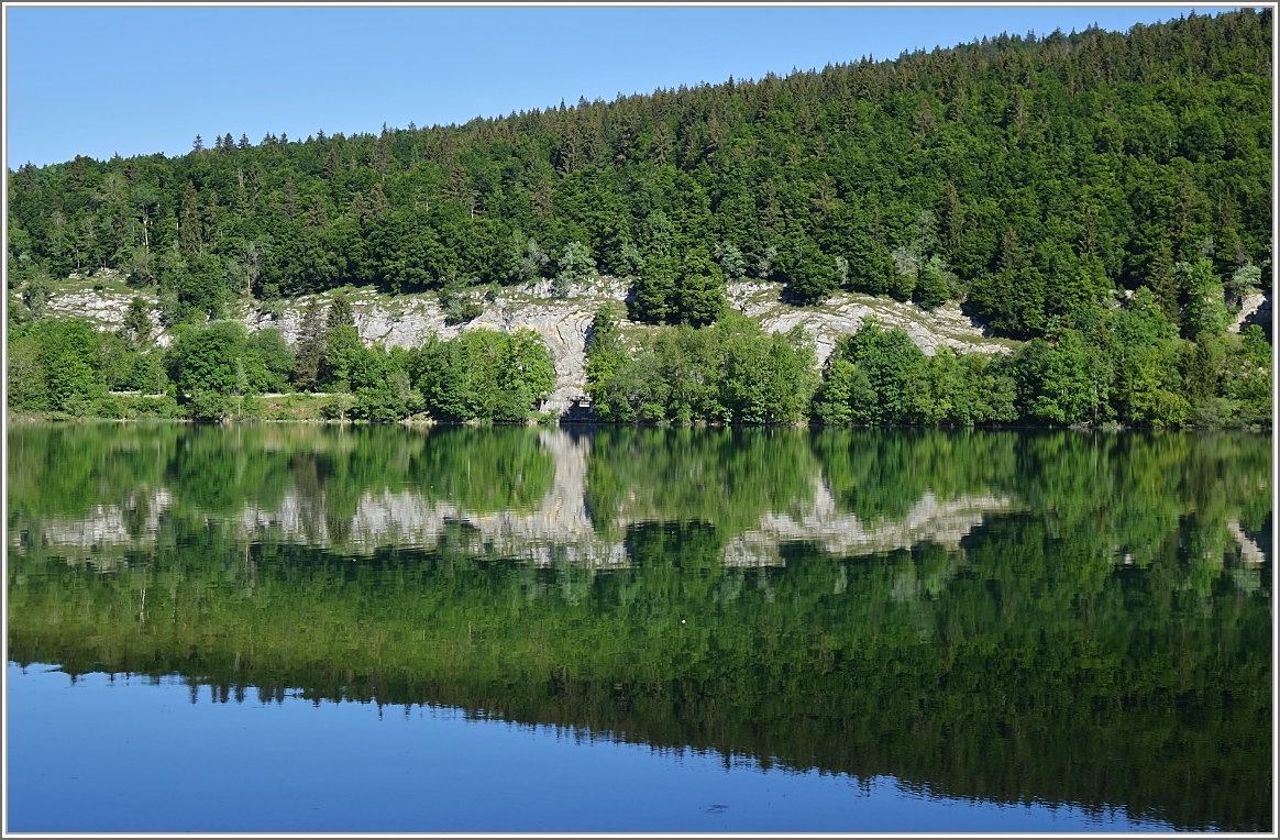 Frühsommerstimmung an einem See im Vallée de Joux.
(03.06.2015)