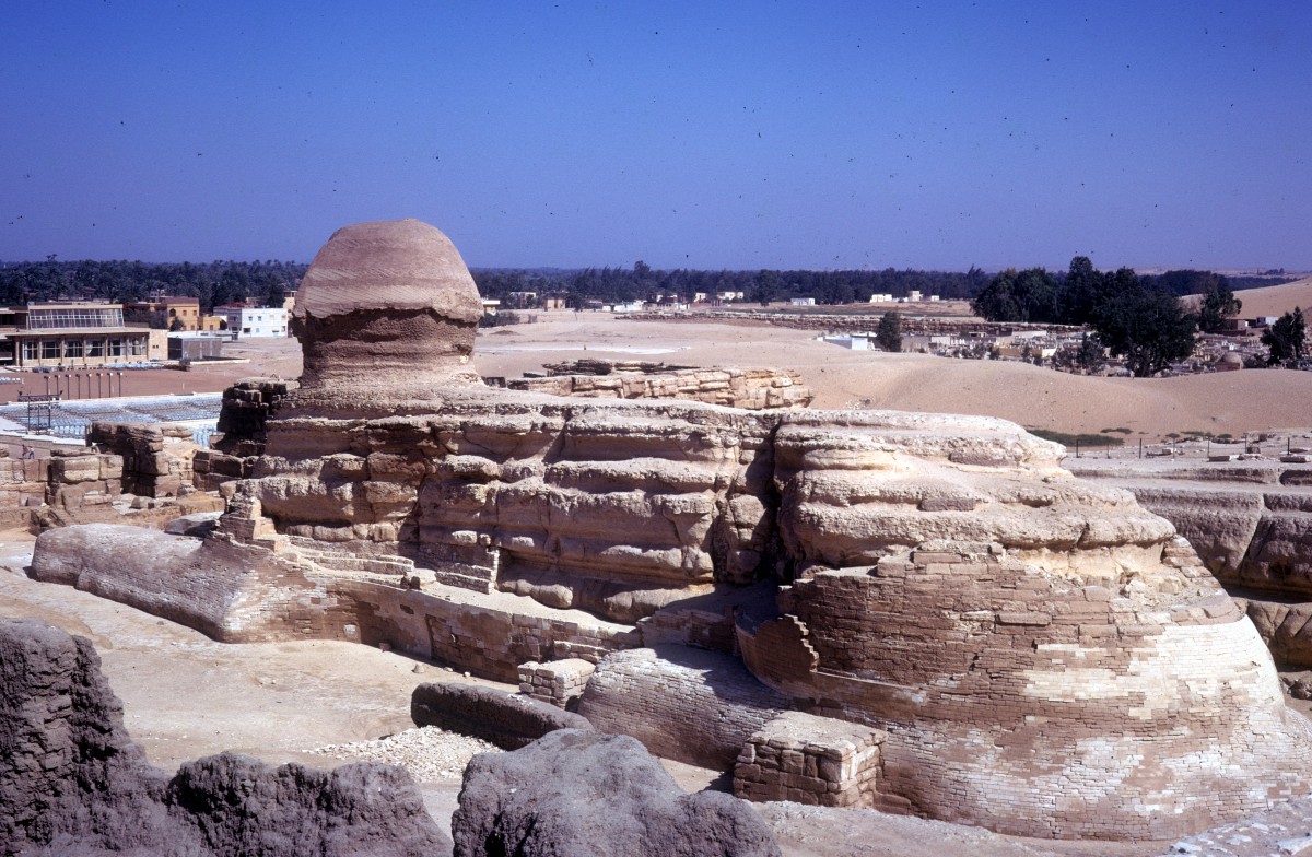 Gizeh am 14. Juni 1974: Die grosse Sfinx.
