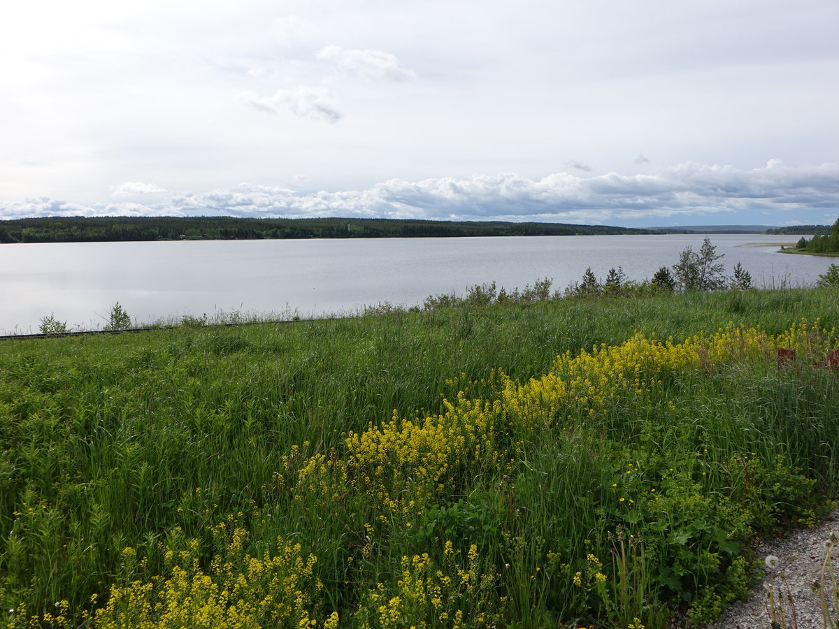 Hålen See bei Asarna, südliches Jämtland (18.06.2017)