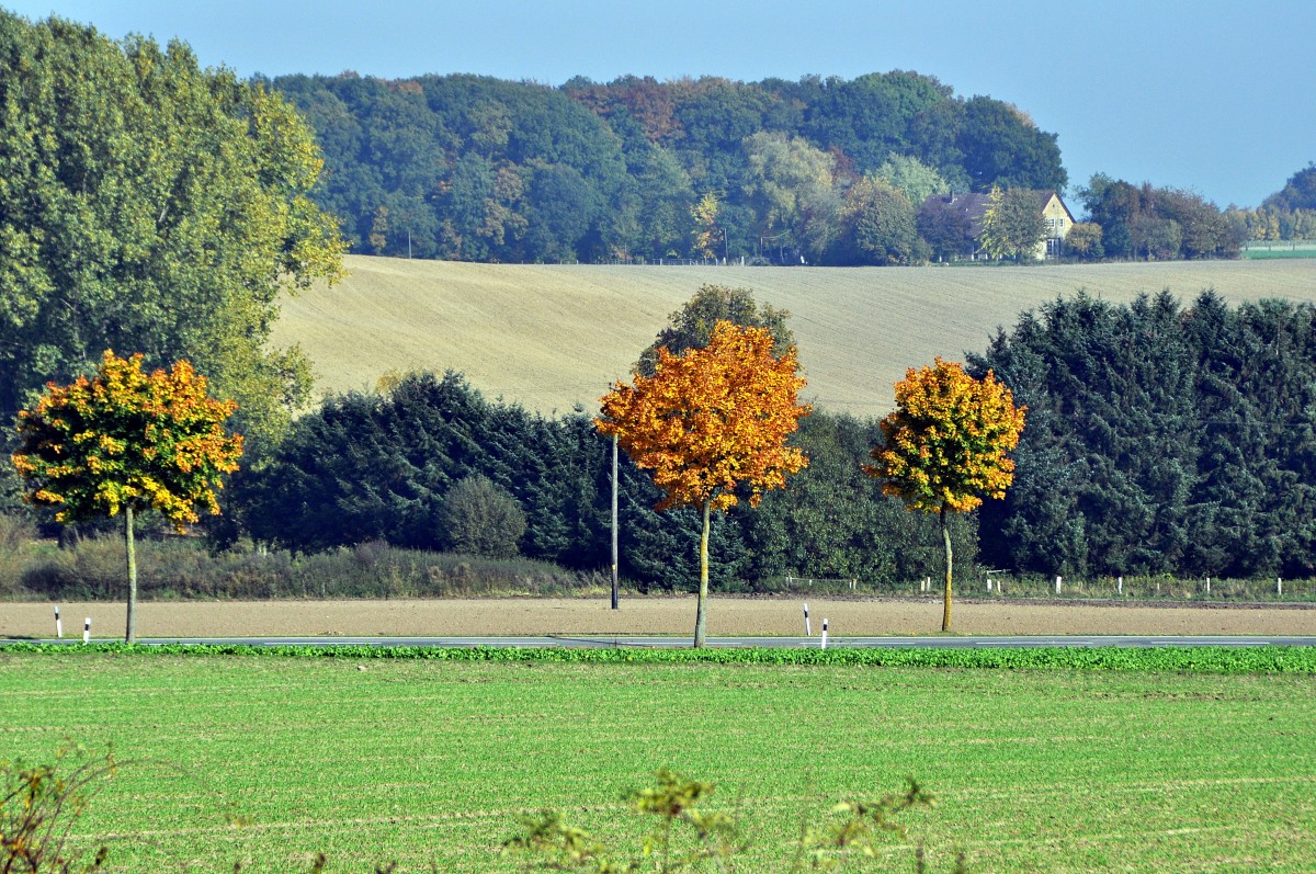 Herbstimmung in Vehrte am 21.10.14.
