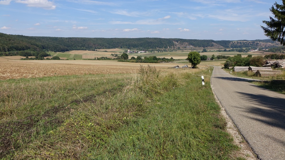 Jurahochfläche bei Rapperszell bei Walting (23.08.2015)
