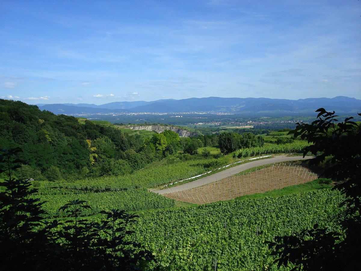Kaiserstuhl, Blick vom 372m hoch gelegenen Vogelsangpass Richtung Osten, mit Schwarzwald und Freiburg im Hintergrund, Juli 2008