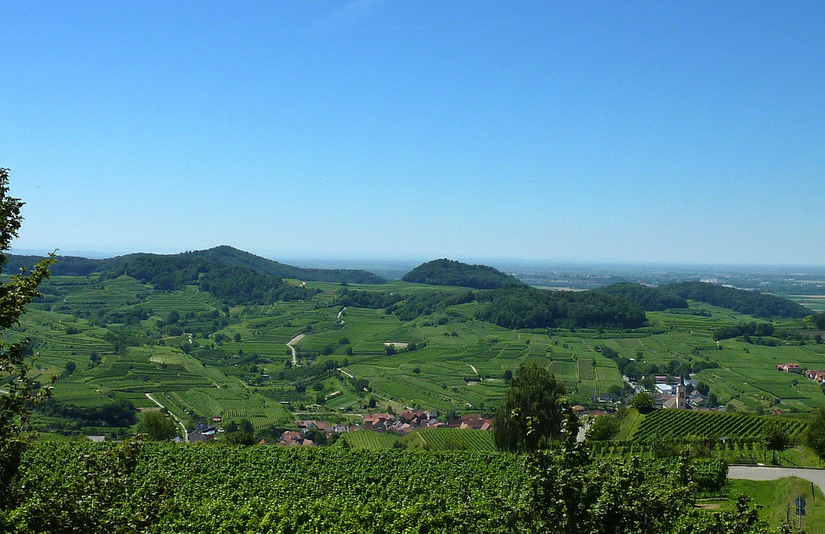 Kaiserstuhl, Blick von der Mondhalde in Richtung Süden, im Vordergrund der Weinort Oberrotweil, Juni 2011