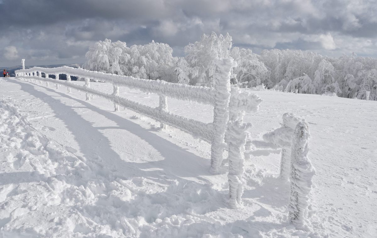 Kandel.winter frost...31.01.2015.