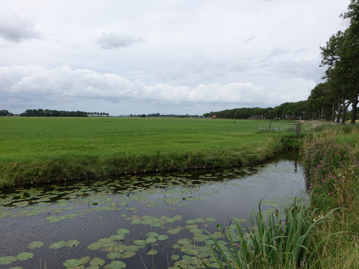Kleiner Kanal bei Zuidwolde, Provinz Groningen (27.07.2017)