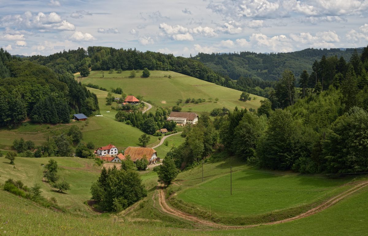 Kohlenbach , Waldkirch 06.08.2014