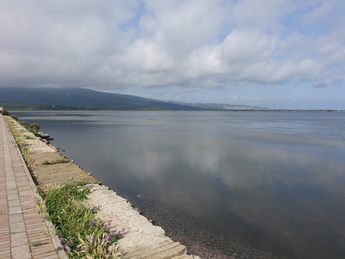 Lagune di Ponente bei Orbetello, Provinz Grosseto (23.05.2022)