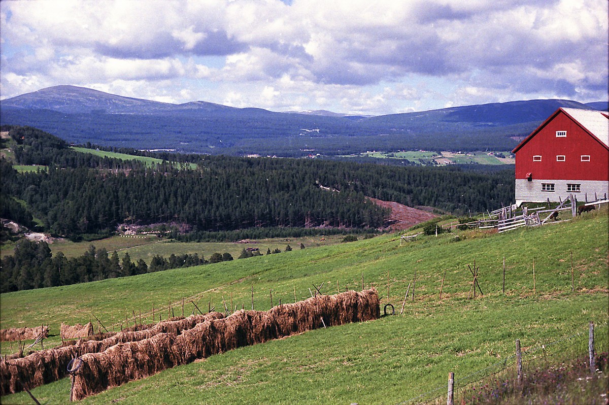 Landschaft bei Lillehammer in Oppland Fylke. Aufnahme: Juli 1984 (digitalisiertes Negativfoto).