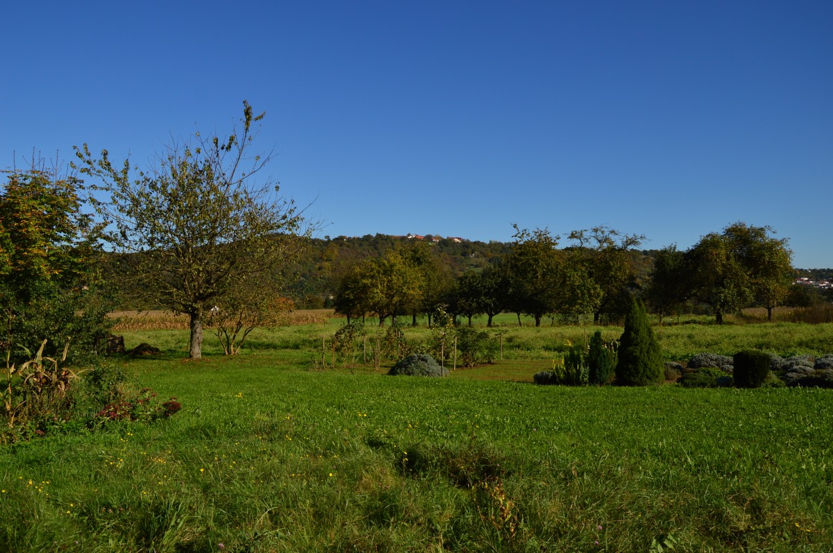 Landschaft bei Obrigheim am Neckar, auf dem Prallhang auf der anderen Neckarseite ist der Schreckhof aus zu machen. 19.10.2014